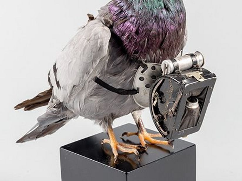 Brieftauben-Panoramakamera "Doppelsport No. 20".