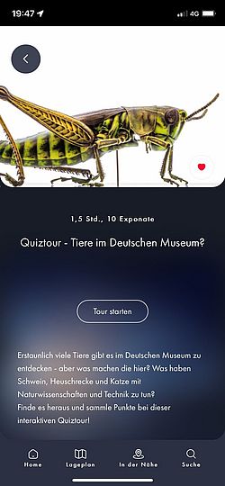 Screenshot der Quiztour "Tiere im Museum".