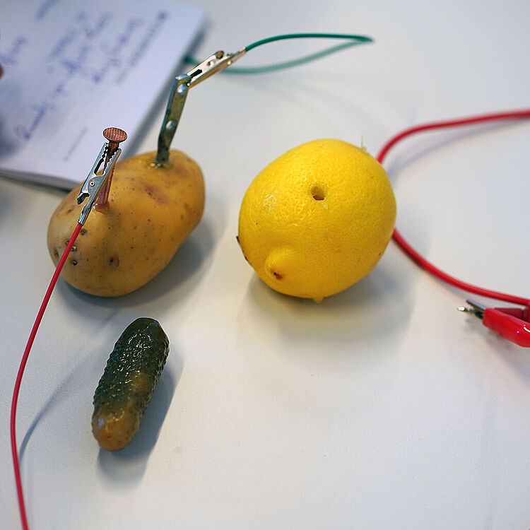 Eine Zitrone und Kartoffel wird als Batterie verwendet.