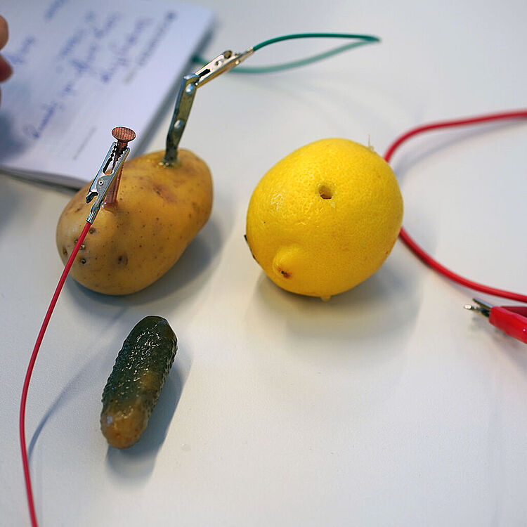 Eine Zitrone und Kartoffel wird als Batterie verwendet.