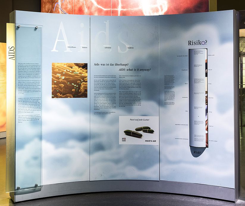 Ausstellungsbereich Infektionskrankheiten