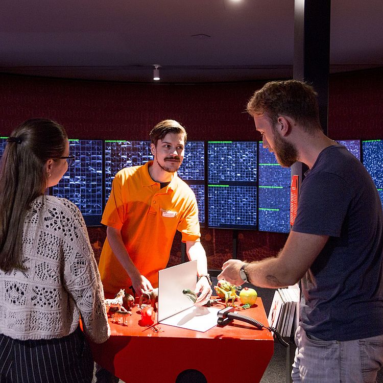 Stationen Anwendungsbeispiele neuronale Netze im Erlebnisraum KNN Deutsches Museum Bonn.