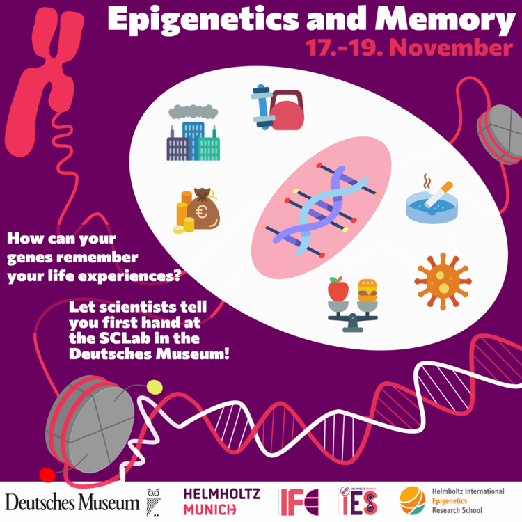 Poster Epigenetik und Erinnerung.