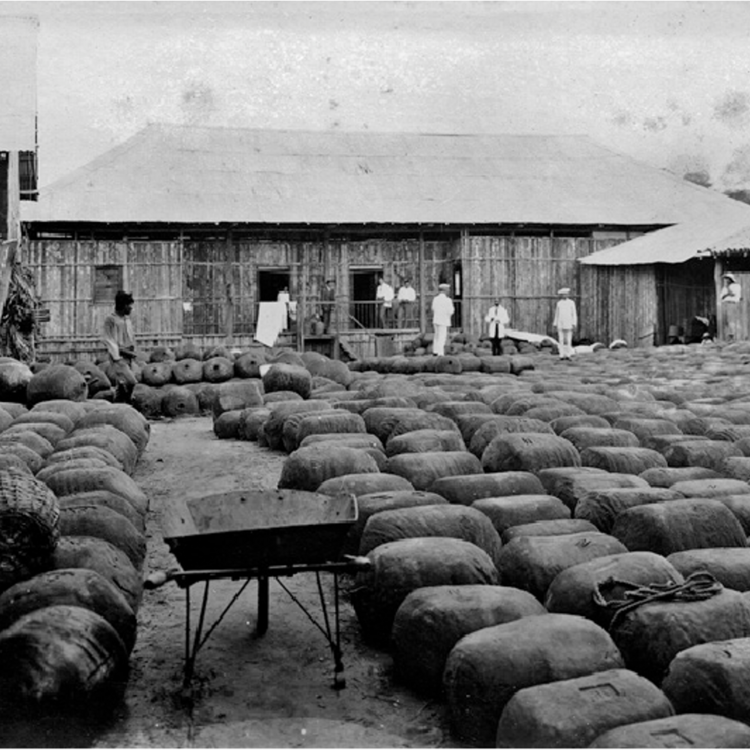 Häuser mit Ballen davor