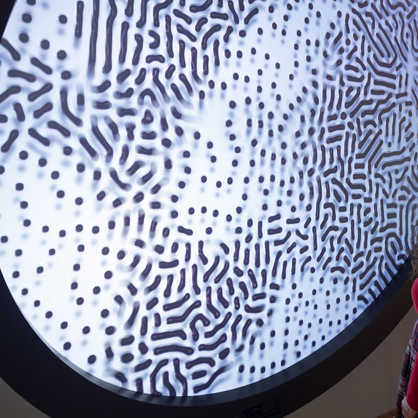 Maria Smigielska & Pierre Cutellic, Proteus 3.0, 2021