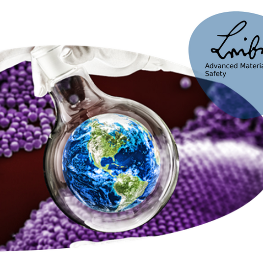 Visualisierung des Leibniz-Forschungsverbunds Advanced Materials Safety 