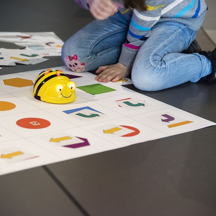 Schulklassenprogramm mit Beebot