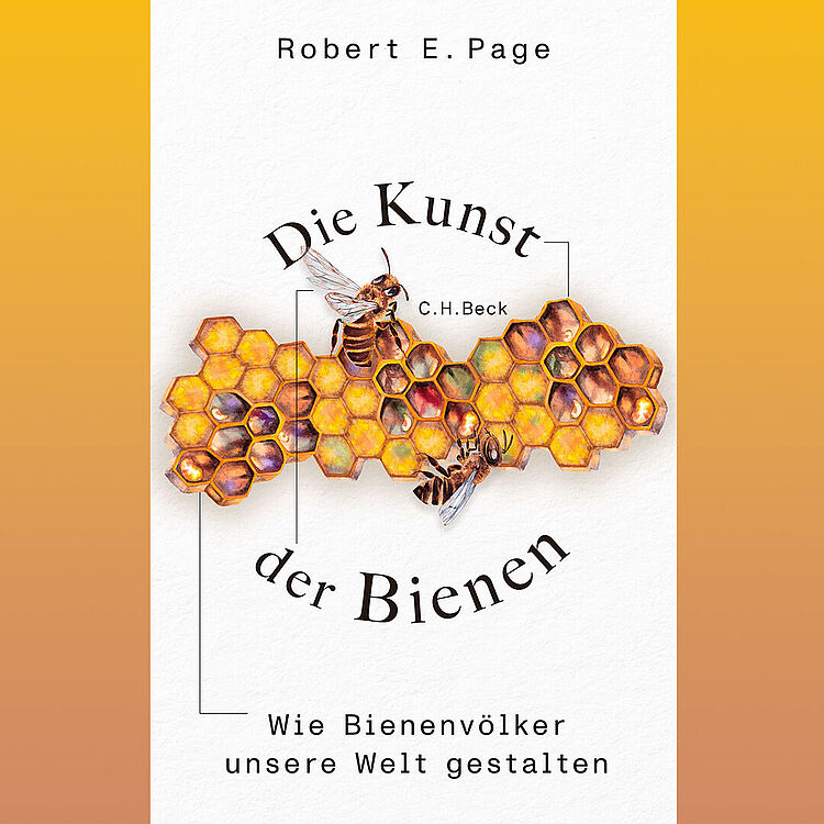Das Bild zeigt ein Buchcover, auf dem Bienenwaben und zwei Honigbienen abgebildet sind.