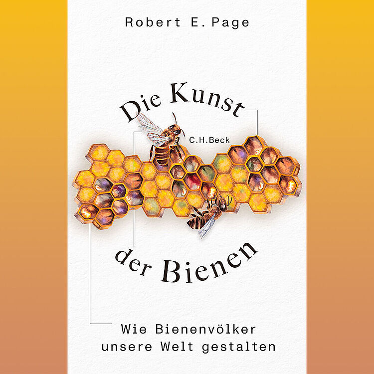 Das Bild zeigt ein Buchcover, auf dem Bienenwaben und zwei Honigbienen abgebildet sind. 