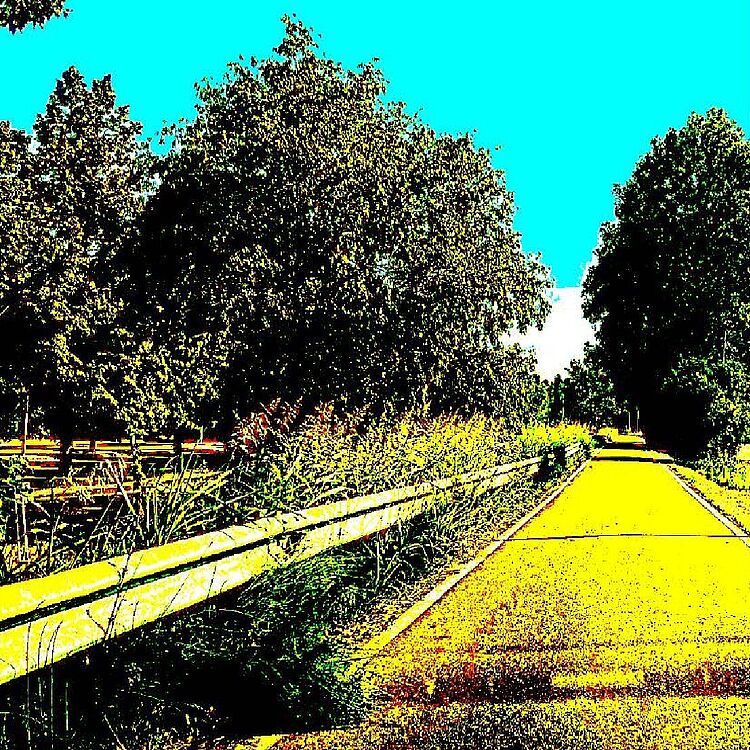 Eine stark kontrastierte, fast pop-artartige Aufnahme eines Baum gesäumten Straße mit gelb gefärbter Asphaltfläche, silberner Leitplanke links, dichter Begrünung und knalltürkisfarbenem Himmel.