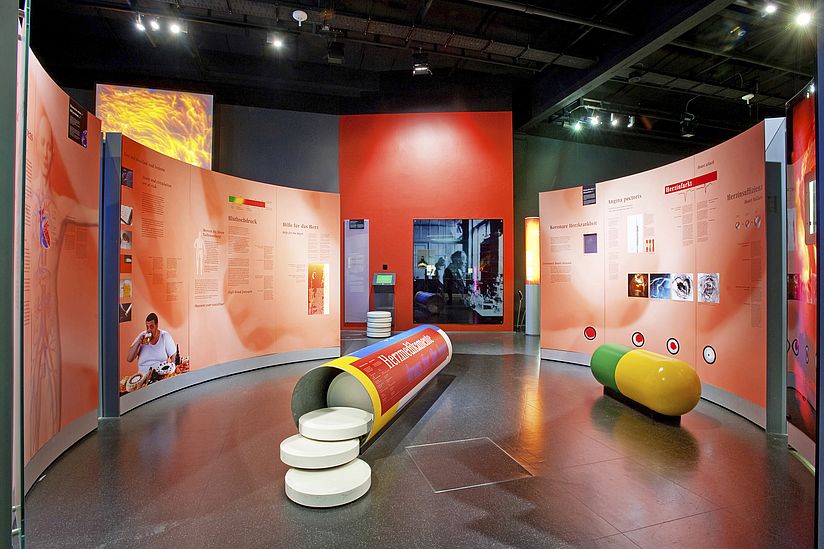Ausstellungsbereich "Herz und Kreislauf"