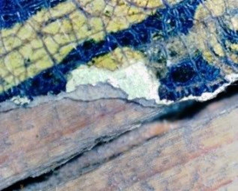 microscopic and endoscopic examination of the harp 