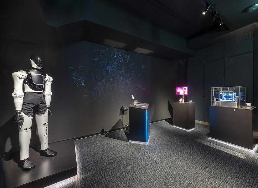 Blick in den Raum "Körper und Gesellschaft".