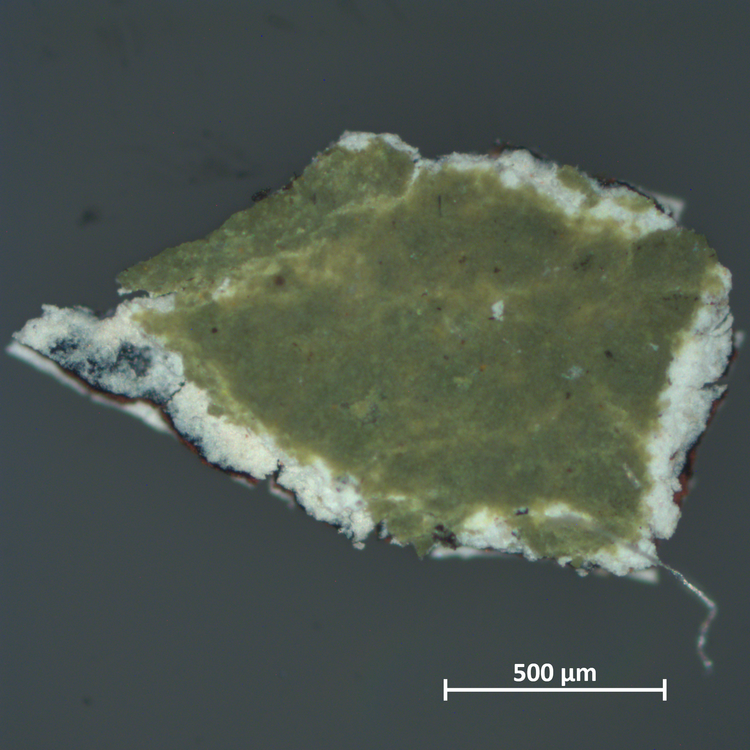 Mikroskopaufnahme einer unregelmäßig dreieckigen Partikelprobe mit grünlicher, fleckiger Oberfläche und weißen Randbereichen auf dunkelgrauem Hintergrund; unten Maßstabsbalken 500 µm.