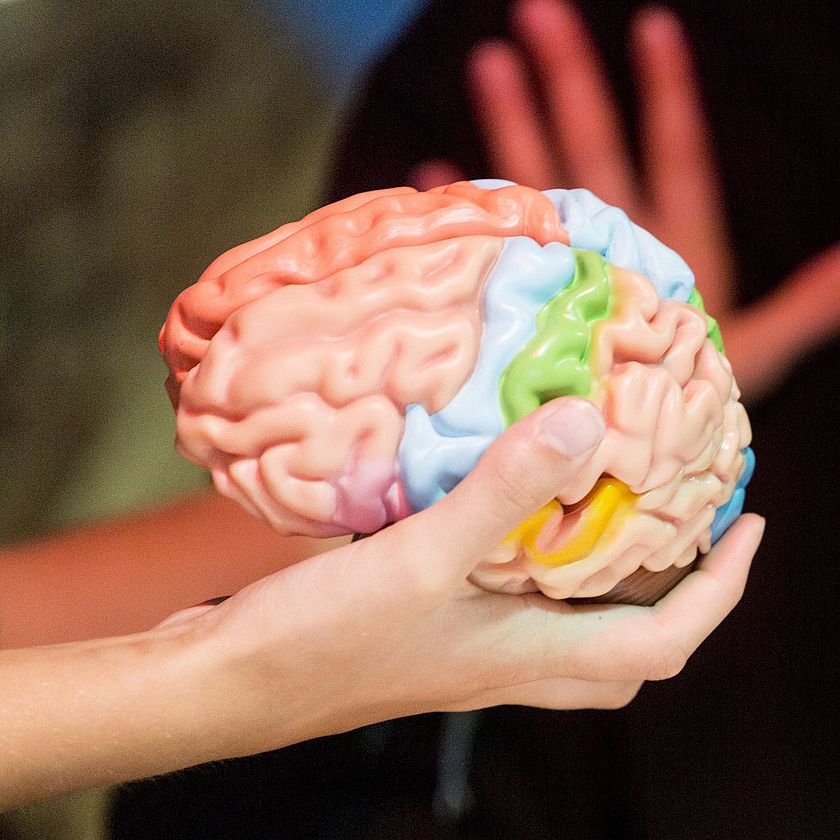 Workshop Volle Konzentration im Deutschen Museum Bonn.