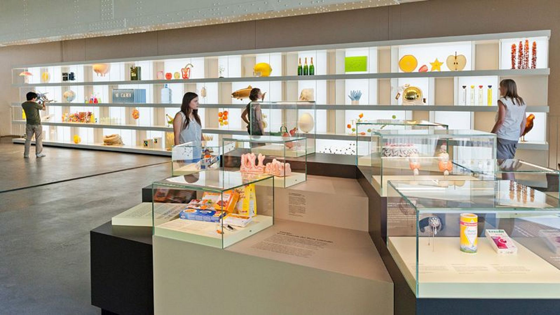 Regal mit 46 unterschiedlichen Exponaten zum Thema Ernährung.