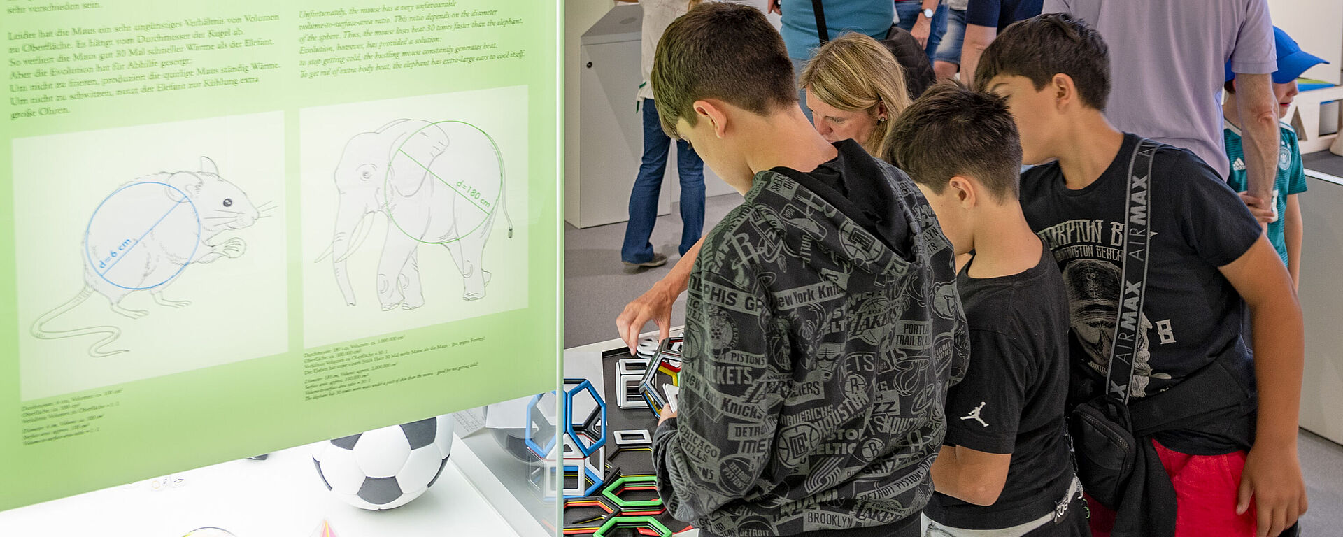 Eine lebhafte Museums-Ausstellung mit mehreren Kindern und Erwachsenen, die interaktive Exponate anschauen; im Vordergrund drei Jungen in Freizeitkleidung untersuchen ein beleuchtetes Vitrinen-Display mit geometrischen Formen, einem Fußball und einem grünen Infopanel zur Frage „Warum friert eine Maus schneller als ein Elefant?“, im Hintergrund stehen weitere Besucher an interaktiven Tafeln und Touchscreens.
