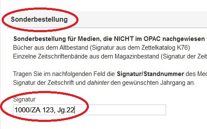 Screenshot des Online-Katalogs mit ausgefülltem Sonderbestellungs-Formular.