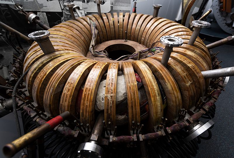 Wendelstein coil of a fusion reactor.