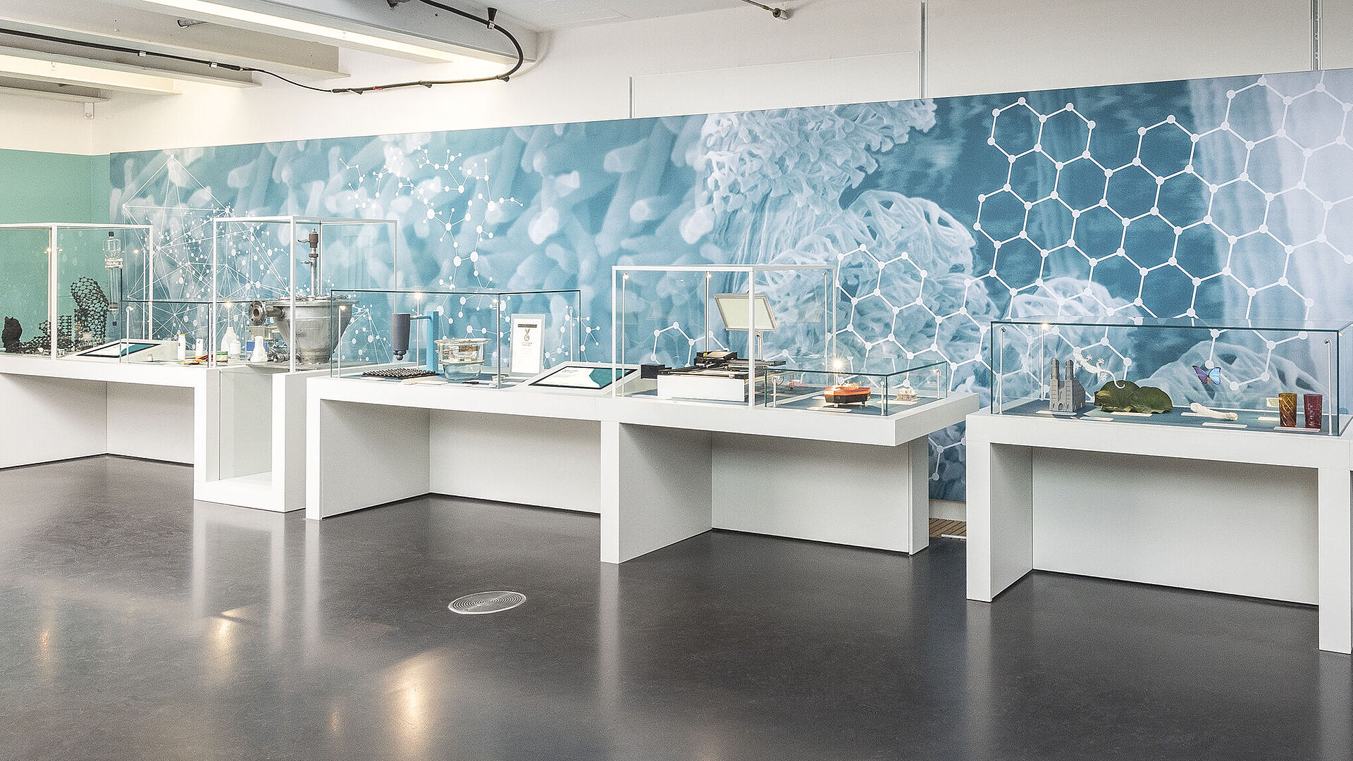 Exhibit room showcasing nanotechnology: long white display tables with glass cases holding scientific models, samples and devices against a blue wall mural of molecular hexagons and microscopic imagery, with "NANOTECHNOLOGIE / NANOTECHNOLOGY" text.