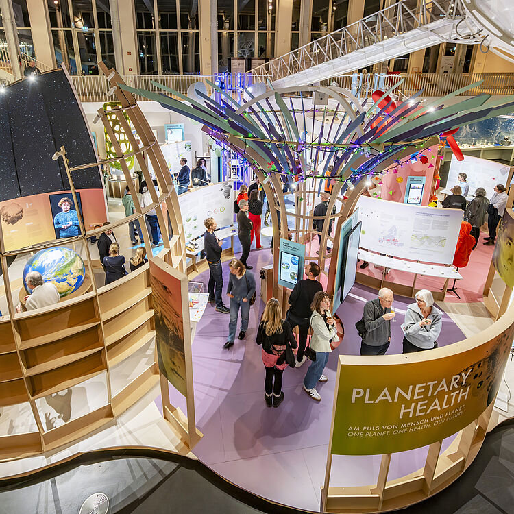 Vogelperspektive einer belebten Ausstellungsinstallation mit geschwungenen Holzwänden und zentralem baumartigen Pavillon, Besucher betrachten interaktive Bildschirme, Infotafeln und ein großes Erdkugel-Modell; Beschriftung „PLANETARY HEALTH“ sichtbar, helle Innenraumbeleuchtung und dekorative Lichterketten.