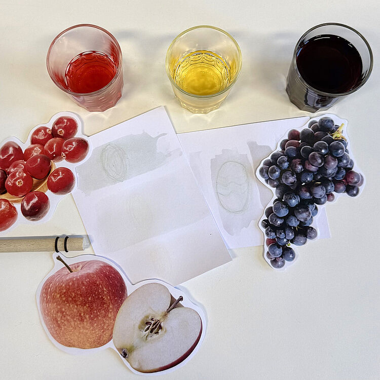 Drei Gläser mit farbigen Flüssigkeiten (rot, gelb, dunkelviolett) oben auf einem weißen Tisch, darunter ausgeschnittene Fotobilder von roten Kirschen, einem ganzen und halbierten Apfel und einer Traubenrispe, in der Mitte zwei weiße Papierblätter mit Bleistiftskizzen und ein Holzstab mit zwei schwarzen Gummiringen.