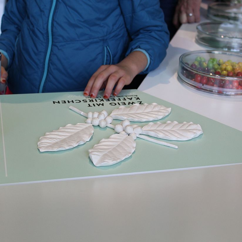 Besuch_Barrierefreiheit_Tastmodell_KaffeepflanzeIMG_3469.JPG Tastmodell Kaffeepflanze in der Ausstellung Kosmos Kaffee