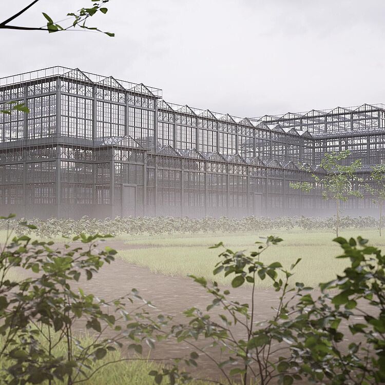 Rendering zeigt Blick durch Bäume und Sträucher auf ein großes, mehrstöckiges viktorianisches Gewächshaus aus Metall und Glas, tiefer Nebel über Rasen und Beeten im Vordergrund, grauer Himmel.