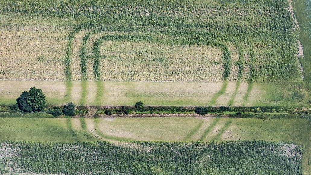 Luftbild von positiven Bewuchsmerkmalen eines späthallstattzeitlichen Herrenhofes in einem Maisfeld bei Osterhofen-Galgweis.