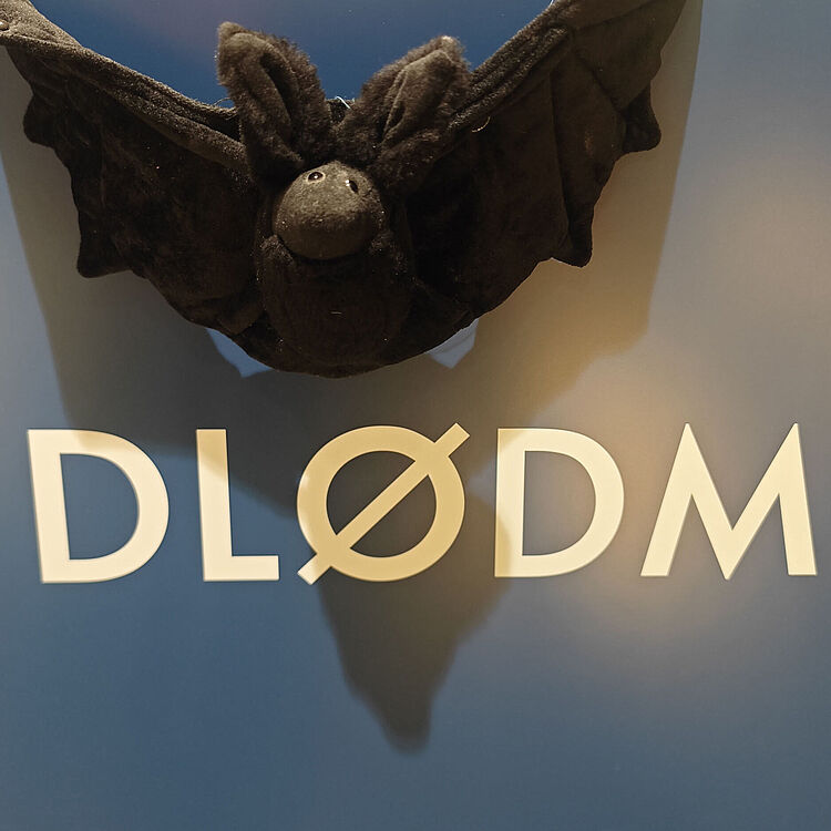 Schwarzes Plüsch-Fledermaus-Kopfteil an der Wand über dem weißen Schriftzug "DLØDM" auf blauem Hintergrund.