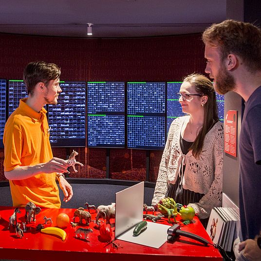 Stationen Anwendungsbeispiele neuronale Netze im Erlebnisraum KNN Deutsches Museum Bonn.