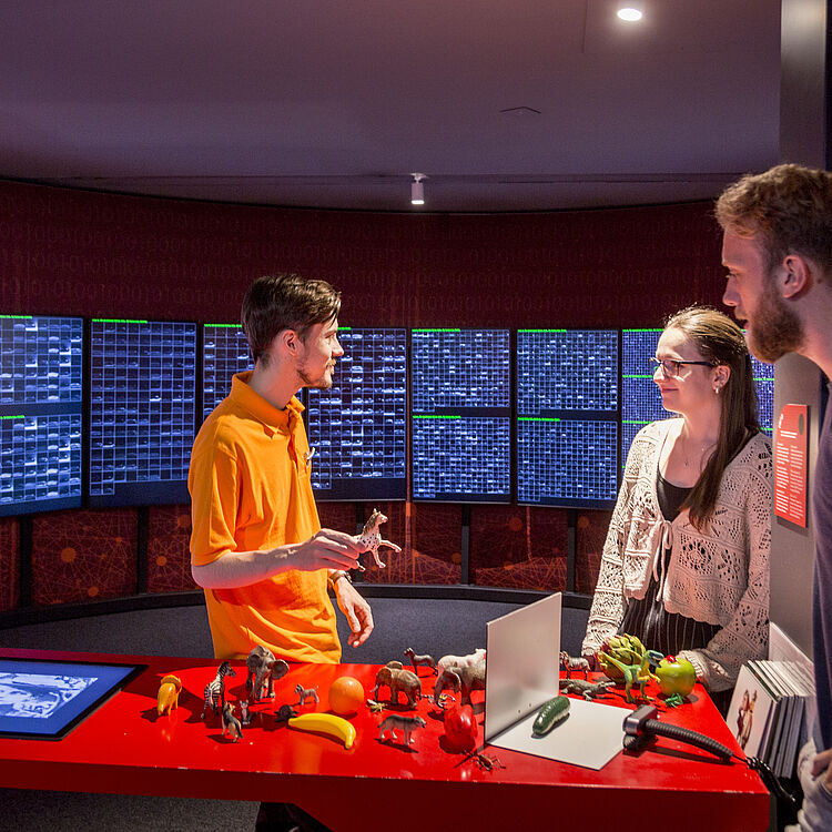 Stationen Anwendungsbeispiele neuronale Netze im Erlebnisraum KNN Deutsches Museum Bonn.