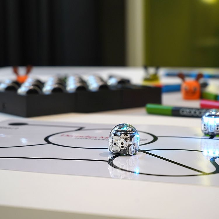 Klein und flink: Ozobots sind für erste Programmiererfahrungen super geeignet. 
