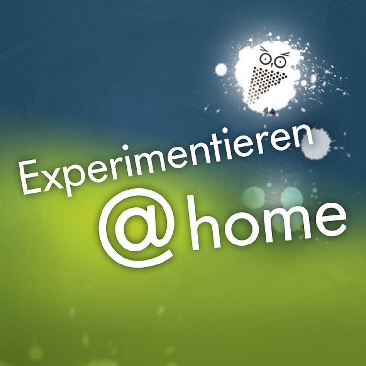 Schriftzug Experimentieren@home und Logo-Eule des Deutsches Museums