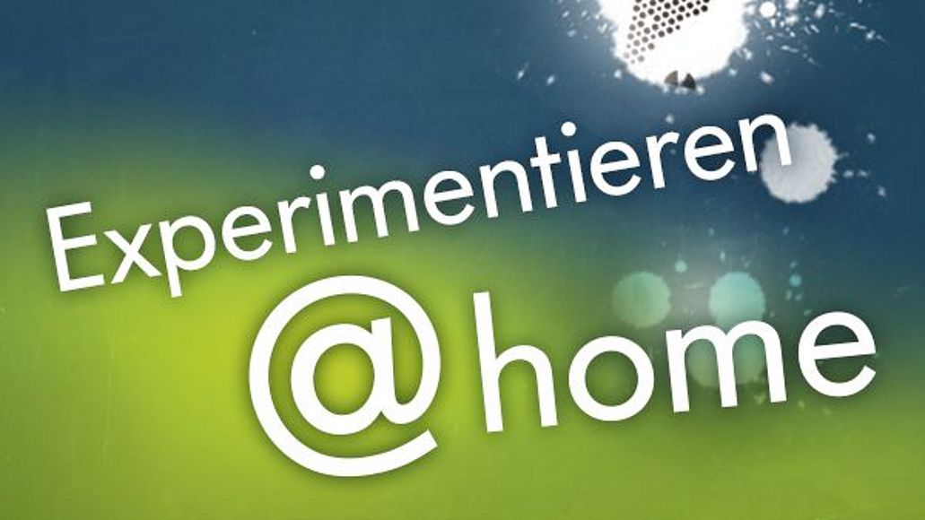 Schriftzug Experimentieren@home und Logo-Eule des Deutsches Museums