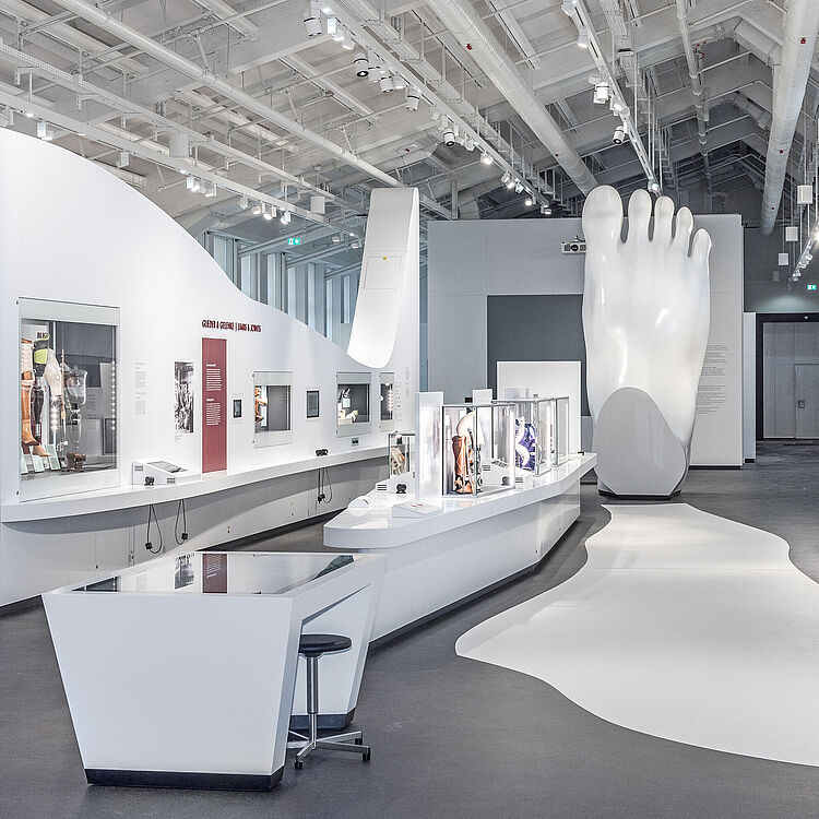 Blick den Ausstellungsbereich "Glieder und Gelenke".