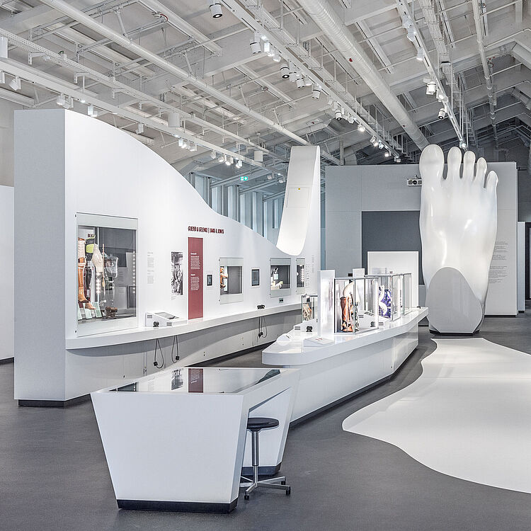 Blick den Ausstellungsbereich "Glieder und Gelenke".