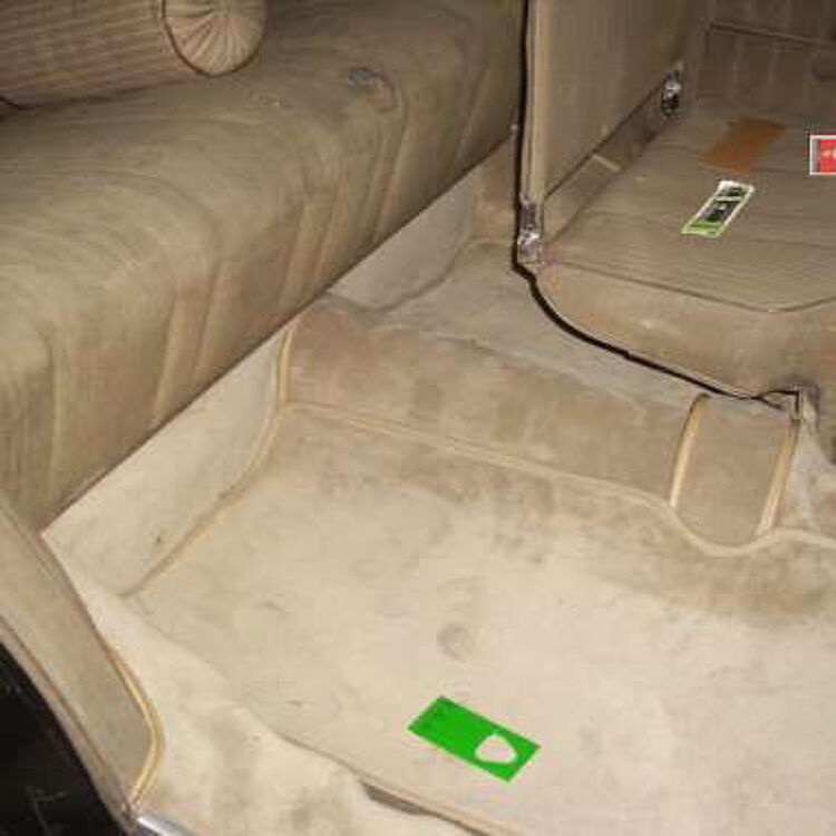 Eine Nützlingskarte liegt in einem Oldtimer.