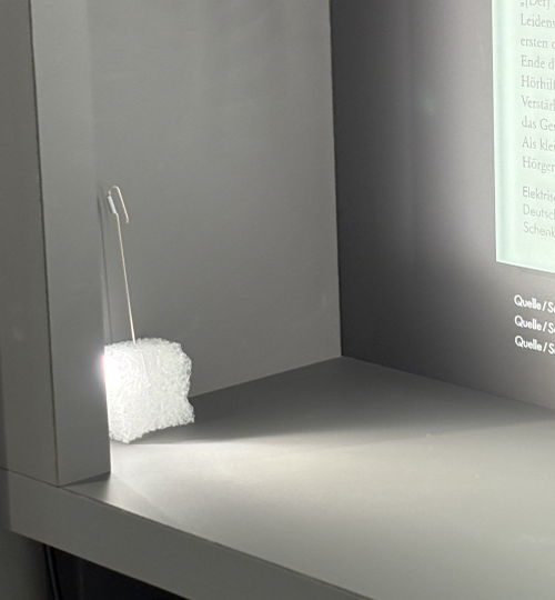 kleiner weißer Schwamm in Ausstellungsvitrine