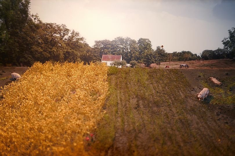 Landwirtschaft Workshop Schulklassen Landschaft