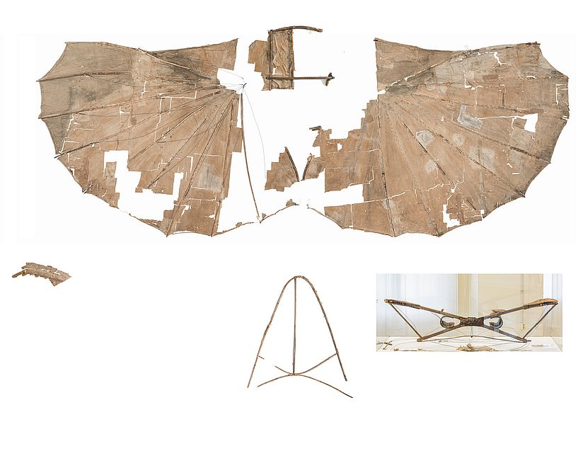 Der Lilienthal-Gleiter ausgebreitet in der Aufsicht. Die Konstruktion weißt Schäden auf, einiges ist noch sehr gut original erhalten.