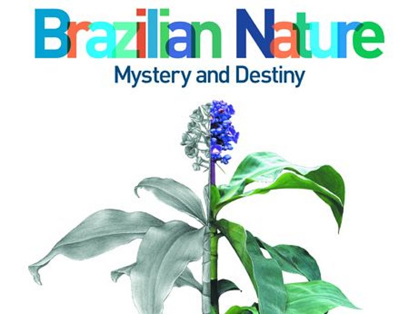 Plakat der Sonderausstellung "Brazilian Nature".