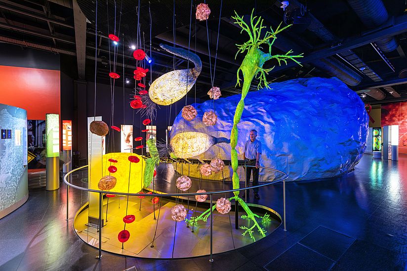 "Zellwald" mit exemplarisch acht Zellarten. Im Hintergrund befindet sich die begehbare Zelle.