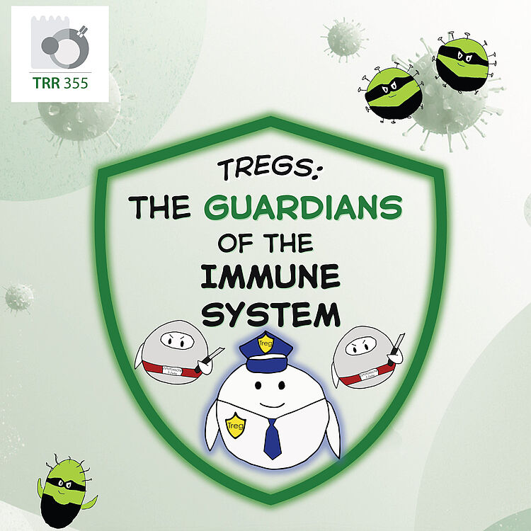 Poster mit grünem Schild-Motiv: Titel "TREGS: THE GUARDIANS OF THE IMMUNE SYSTEM" in Schwarz und Grün, cartoonhafte runde Treg-Zellen als Wächter (eine mit Polizeimütze und Abzeichen, zwei kleinere mit Stäben) und böse grün-schwarze Viren-Charaktere, Hintergrund mit schematischen Virusillustrationen, Text unten "Discover the invisible heroes that protect you" und Einladung "Visit us at the Deutsches Museum’s Science Communication Lab" sowie Datumsfeld "April 10–12, 2026"; oben links TRR 355 Logo.