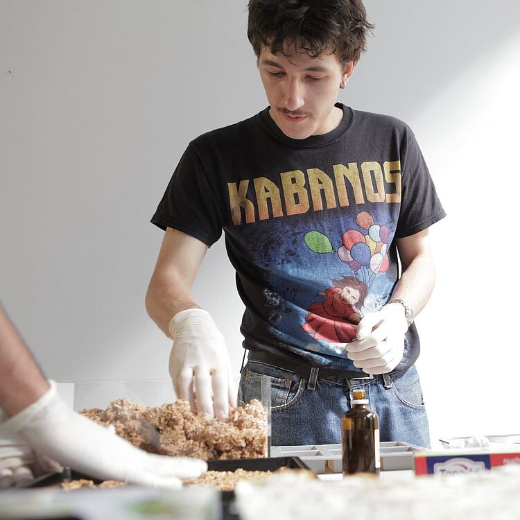 Teilnehmer bei einem Workshop im Bio Living Lab, er trägt Handschuhe und arbeitet mit Pilzmyzel an einem Labortisch.