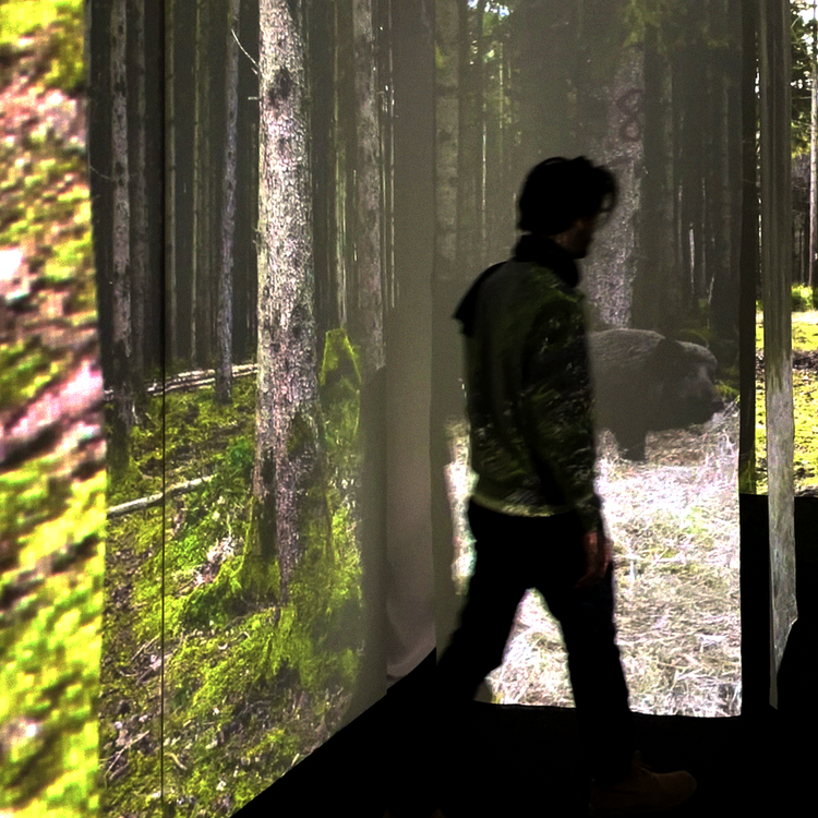 VR-Installation "Approaching Nature" im VRlab.