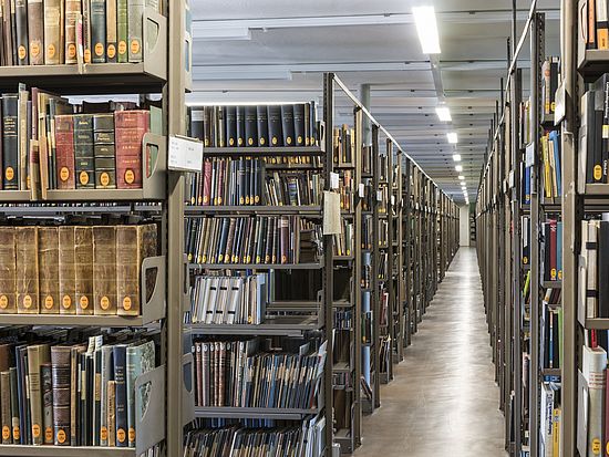 Magazinblick Bücherregale im Magazin