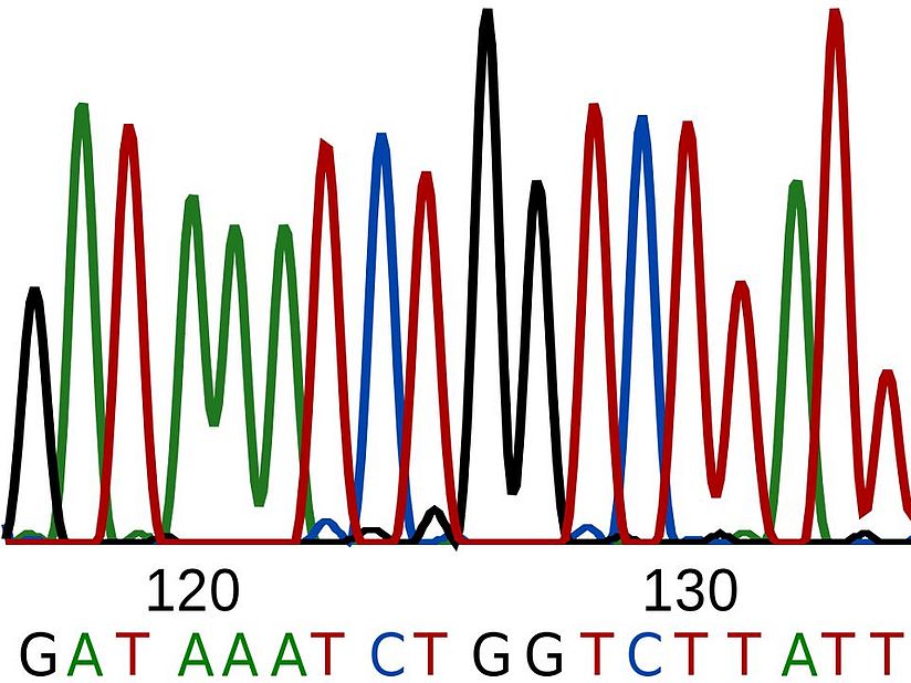 Vier unterschiedliche Sequenzierkurven.