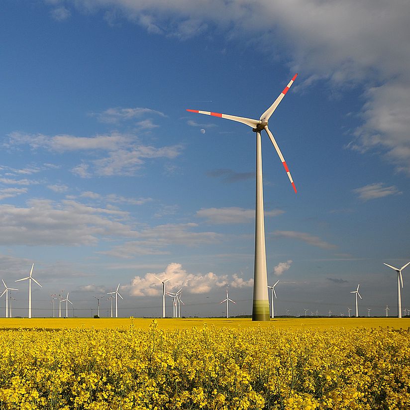 Windräder im Havelland.