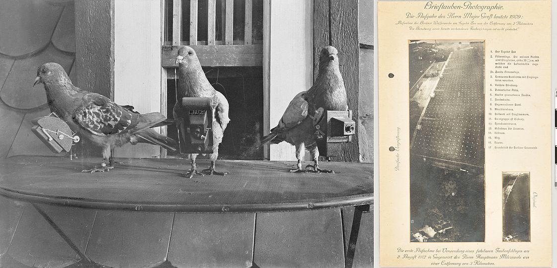 Drei Brieftauben mit Kameras (links). Eine Brieftaubenfotografie, die einen Filtrationsplan am Tegeler See in Berlin zeigt, der Teil eines militärischen Fotoaufklärungsexperiments war (rechts). 